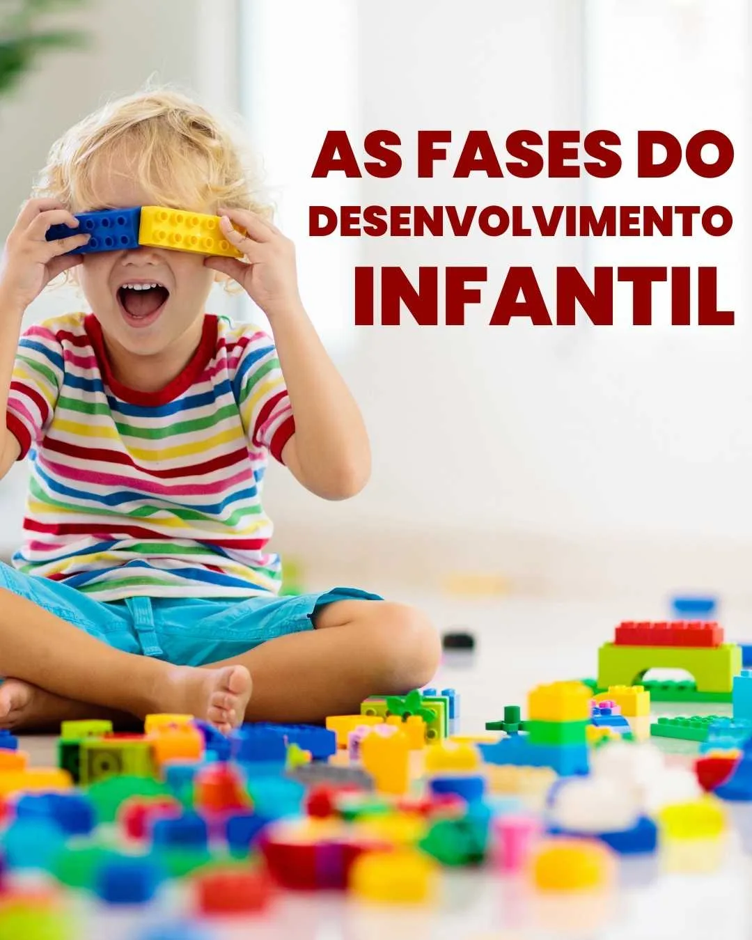 As Fases do Desenvolvimento Infantil
