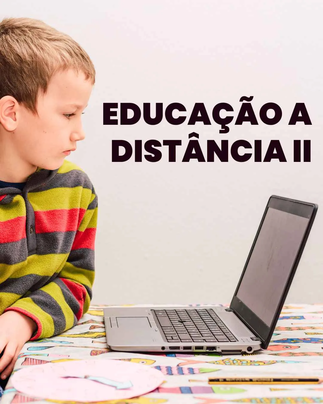 Educação a Distância II