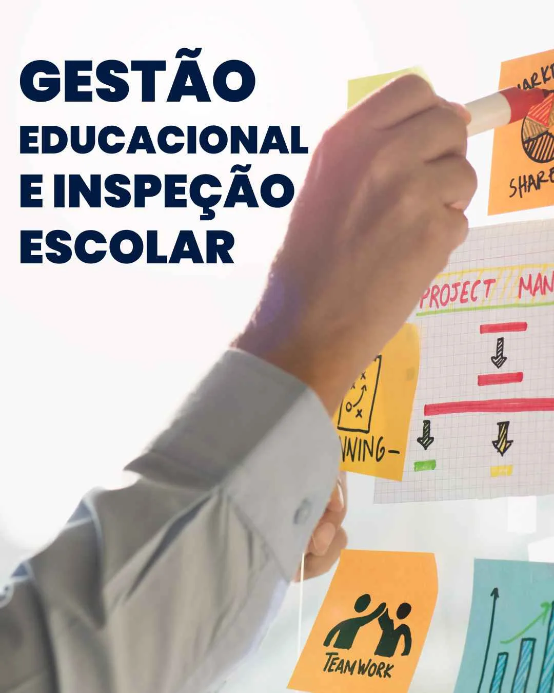 Gestão Educacional e Inspeção Escolar
