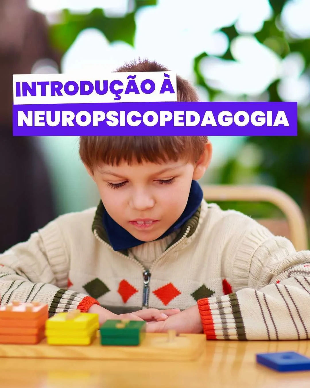 Introdução à Neuropsicopedagogia