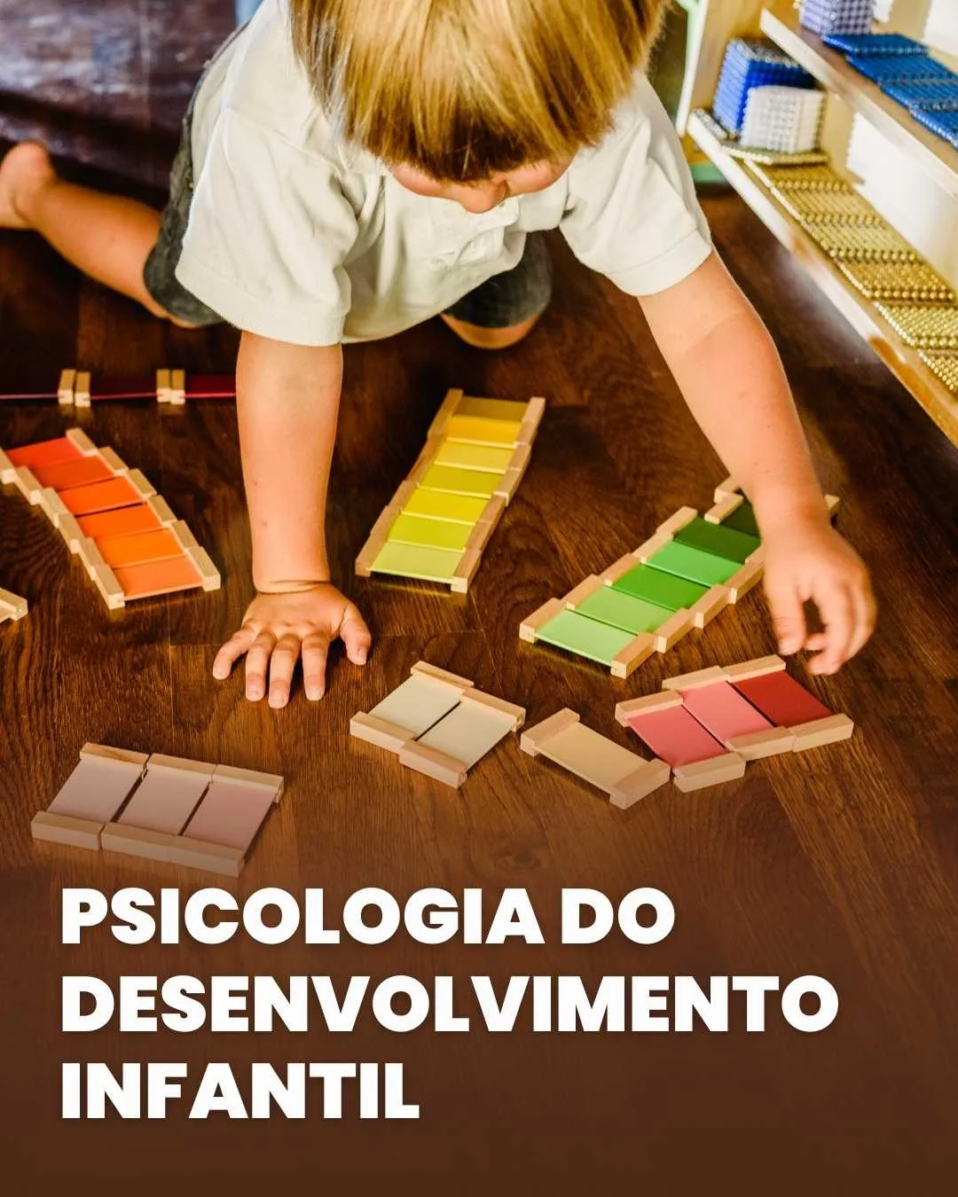 Psicologia do Desenvolvimento Infantil