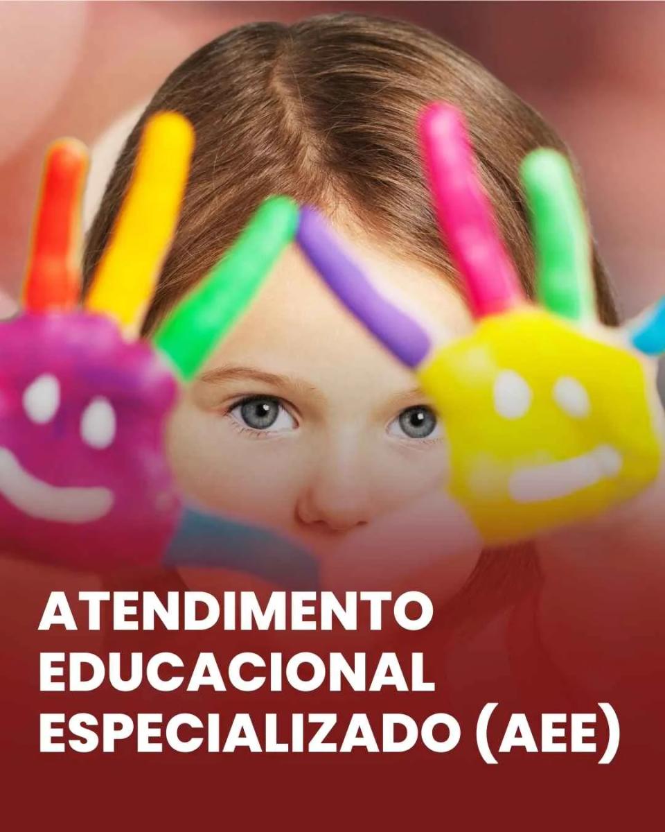 Atendimento Educacional Especializado (AEE)